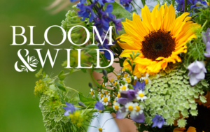 BAW-card-300x189-1